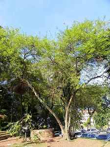 20110226malaysia (5).jpg